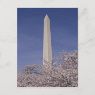 Cartão Postal América do Norte, EUA, Washington D.C.. Washington