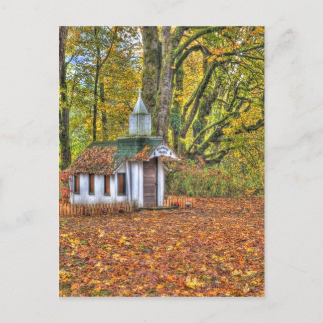 Cartão Postal América do Norte, EUA, Washington, Newhalem, 2 (Frente)