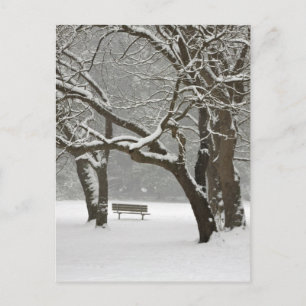 Cartão Postal América do Norte, EUA, Washington, Seattle, neve 2