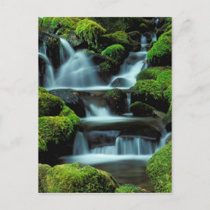 Cartão Postal América do Norte; EUA; Washington, Sol Duc Cascad