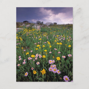 Cartão Postal América do Norte, EUA, Wyoming, Yellowstone 2