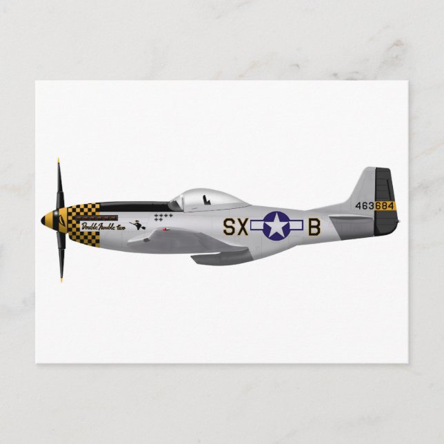 Cartão Postal América do Norte P-51D Mustang "Double Trouble Two (Frente)