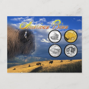 Cartão Postal American Bison sobre moedas