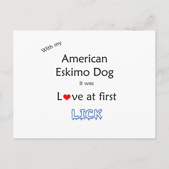 Cartão Postal American Eskimo Dog Lick Design (Frente)