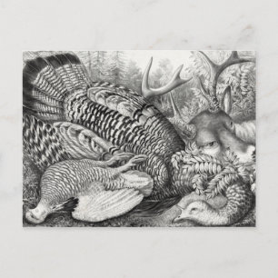 Cartão postal "American Forest Game"