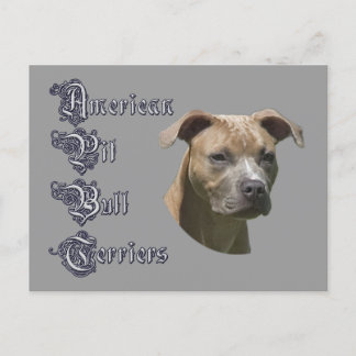 Cartão postal American Pit Bull Terrier (APBT)