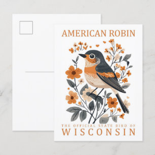 Cartão Postal American Robin Bird, Viagem de Wisconsin