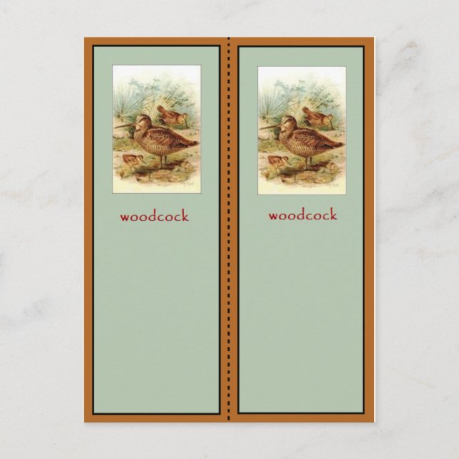 Cartão Postal American Woodcock Bookmark (Frente)