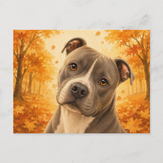 Cartão Postal American XL Bully Autumn Dog
