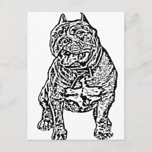 Cartão Postal Americano Bully Dog