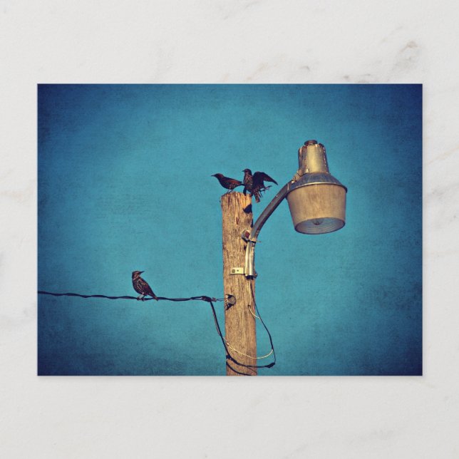 Cartão Postal Amidos (Frente)