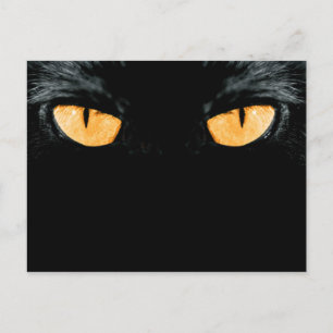 Cartão Postal amigo