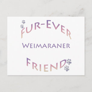 Cartão Postal Amigo para Sempre Weimaraner