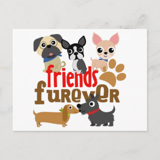 Cartão Postal Amigos Cães Futuros Cachorros