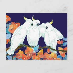 Cartão Postal Amigos do Cockatoo