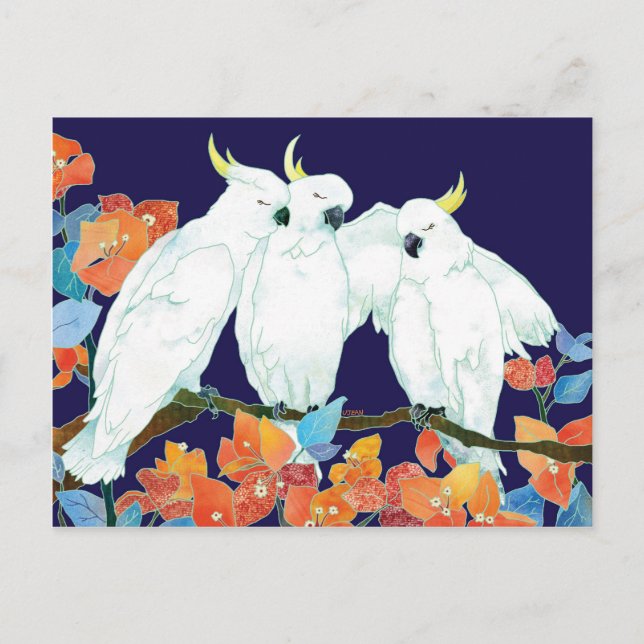Cartão Postal Amigos do Cockatoo (Frente)