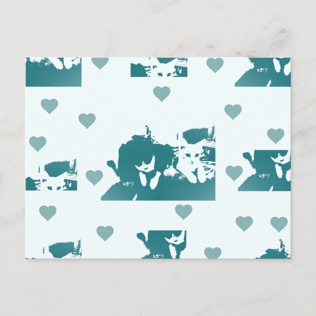 Cartão Postal Amigos Felinos. (Frente)