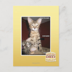 Cartão Postal Amigos Idiotas