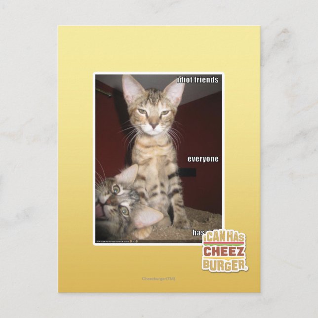 Cartão Postal Amigos Idiotas (Frente)