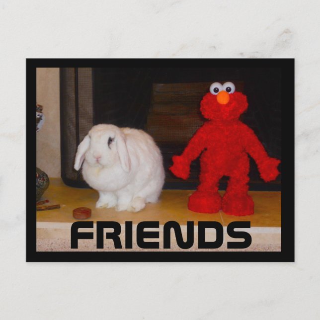 Cartão Postal Amigos - Obrigados por estarem lá para mim (Frente)