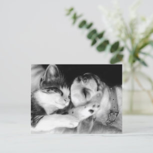 Cartão Postal "Amigos", pintura de Chihuahua e Cat, Prêmio vence