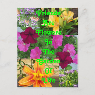 Cartão Postal Amigos são Flores... cartão-postalPC78