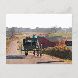 Cartão Postal Amish Boy dirige o Open Buggy