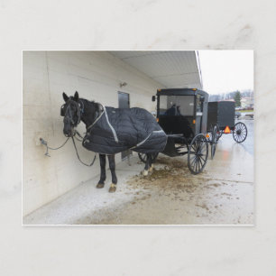 Cartão Postal Amish Buggy No Mercado Da Pensilvânia