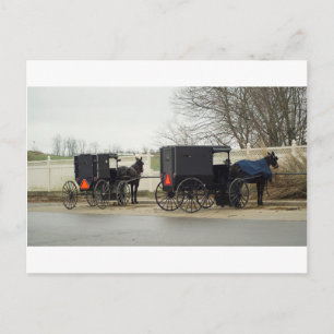 Cartão Postal Amish Buggy "Parking Lot"