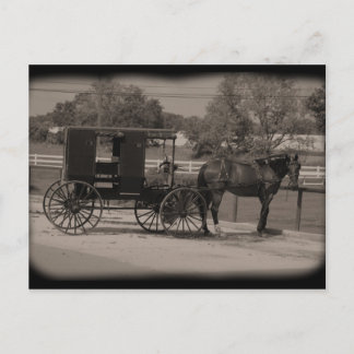 Cartão Postal Amish Country Sugarcreek, Ohio