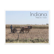 Amish Farmer Plantar Milho