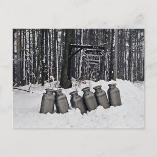 Cartão Postal Amish Milk Cans-Postcard