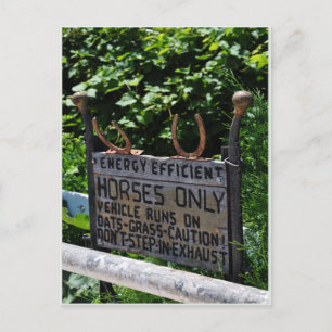 Cartão Postal Amish Parking