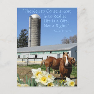 Cartão Postal Amish Postcard Life é um presente. Adicione Seu T