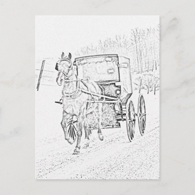 Cartão Postal Amish Sketch-Horse e Buggy-Postcard (Frente)