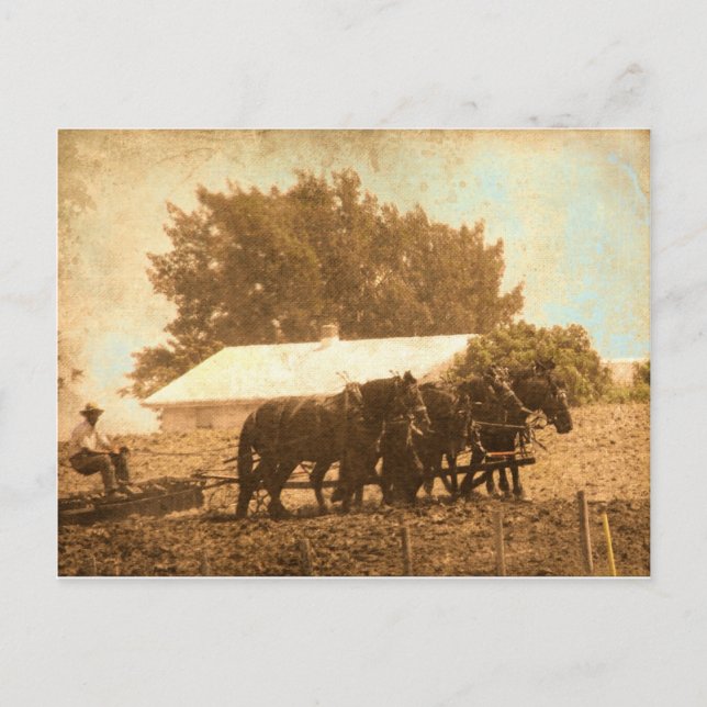 Cartão Postal Amish Team (Frente)