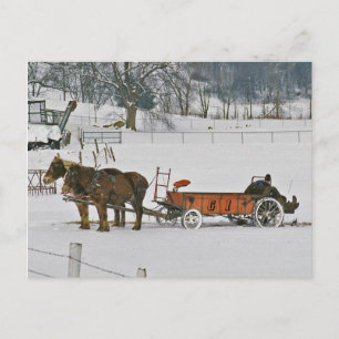 Cartão Postal Amish Winter Farmer On Spreader-Postcard