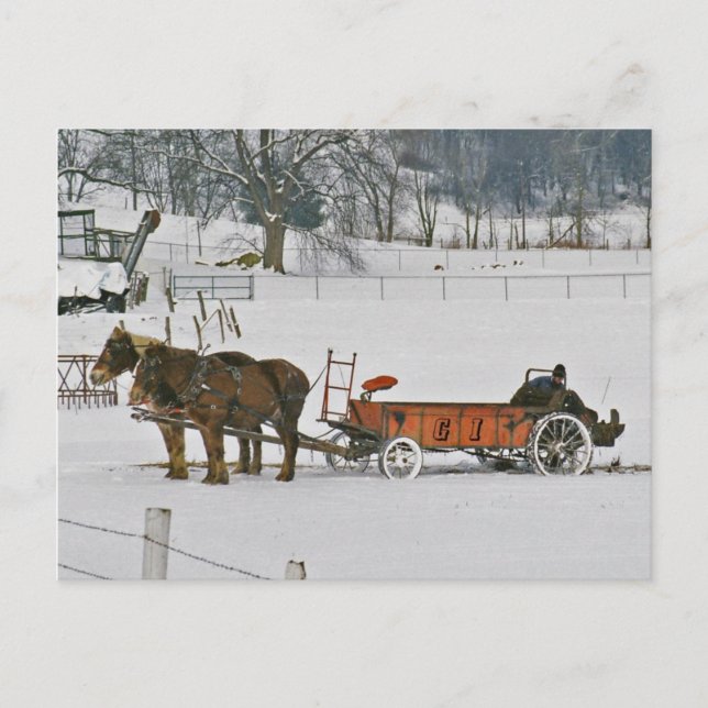 Cartão Postal Amish Winter Farmer On Spreader-Postcard (Frente)