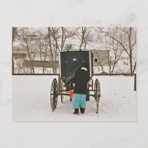 Cartão Postal Amish Woman Carregando Buggy - Cartão-postal