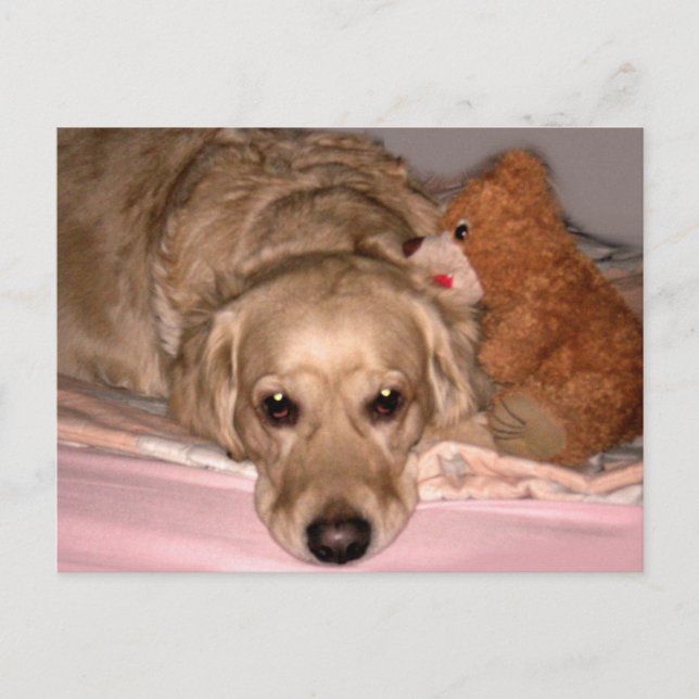 Cartão Postal Amizade (Frente)