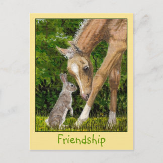 Cartão postal Amizade Bunny & Foal