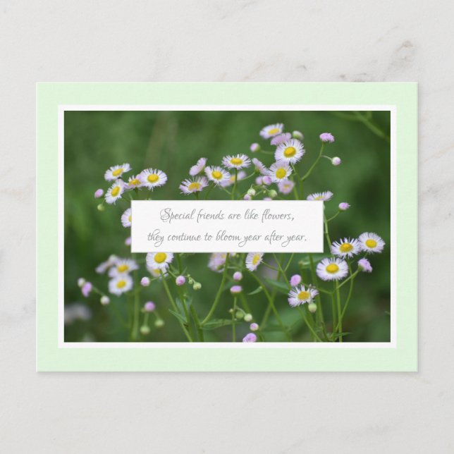 Cartão Postal Amizade Especial (Frente)