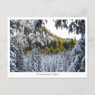 Cartão Postal Ammergauer Alpen