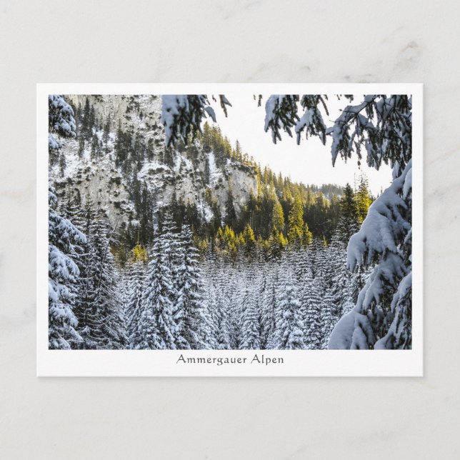 Cartão Postal Ammergauer Alpen (Frente)