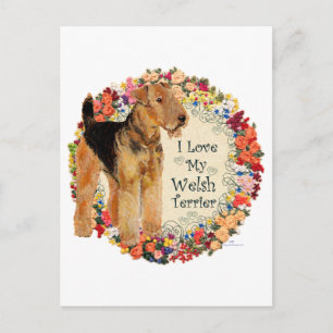 Cartão Postal Amo meu terrier galês