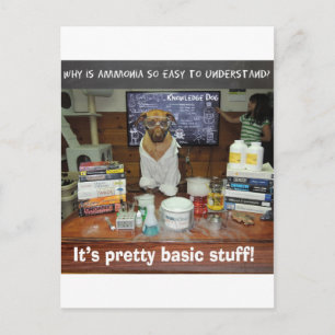 Cartão Postal amoníaco básico.jpg