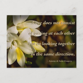 Cartão Postal Amor...