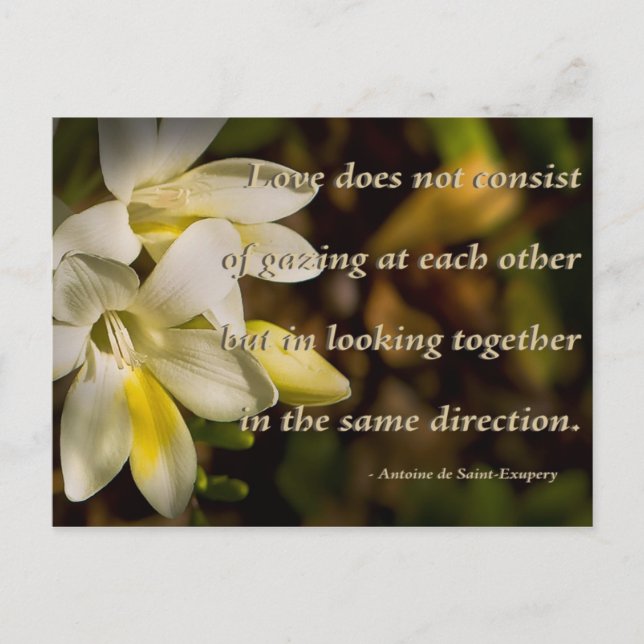 Cartão Postal Amor... (Frente)