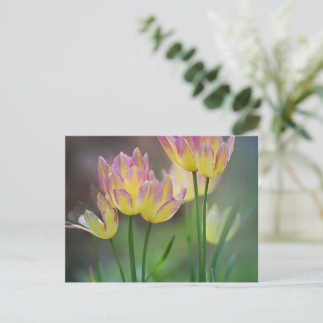 Cartão Postal Amor (Em pé/Frente)