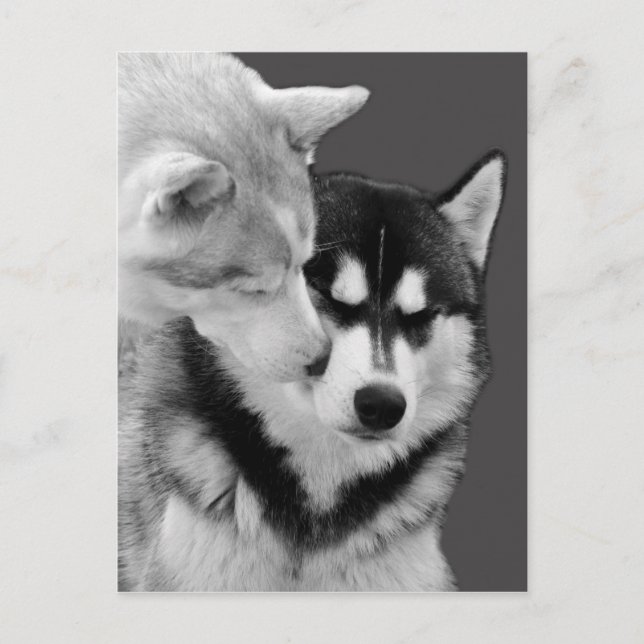 Cartão Postal amor (Frente)